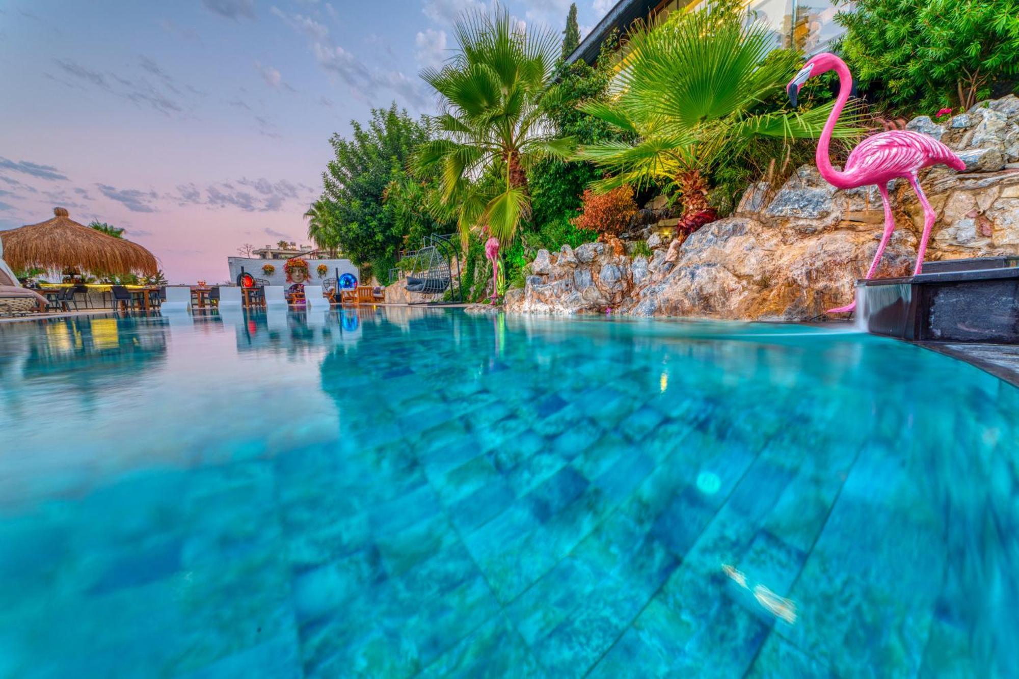 Hotel Illusion & Clubhotel - Adults Only Alanya
